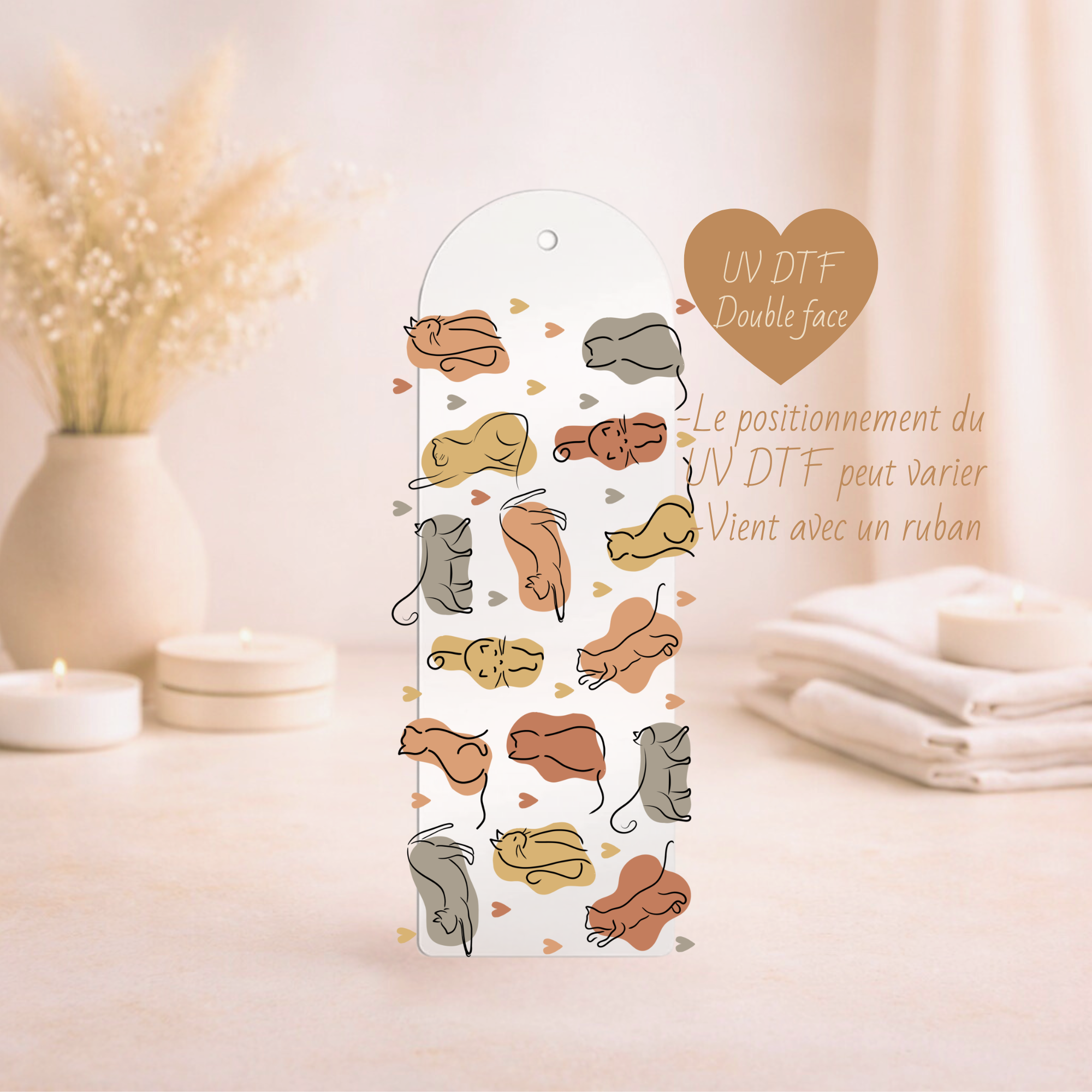 Signet cat lover ✿