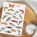 Feuille d’autocollants – À la pêche aux poissons ✿
